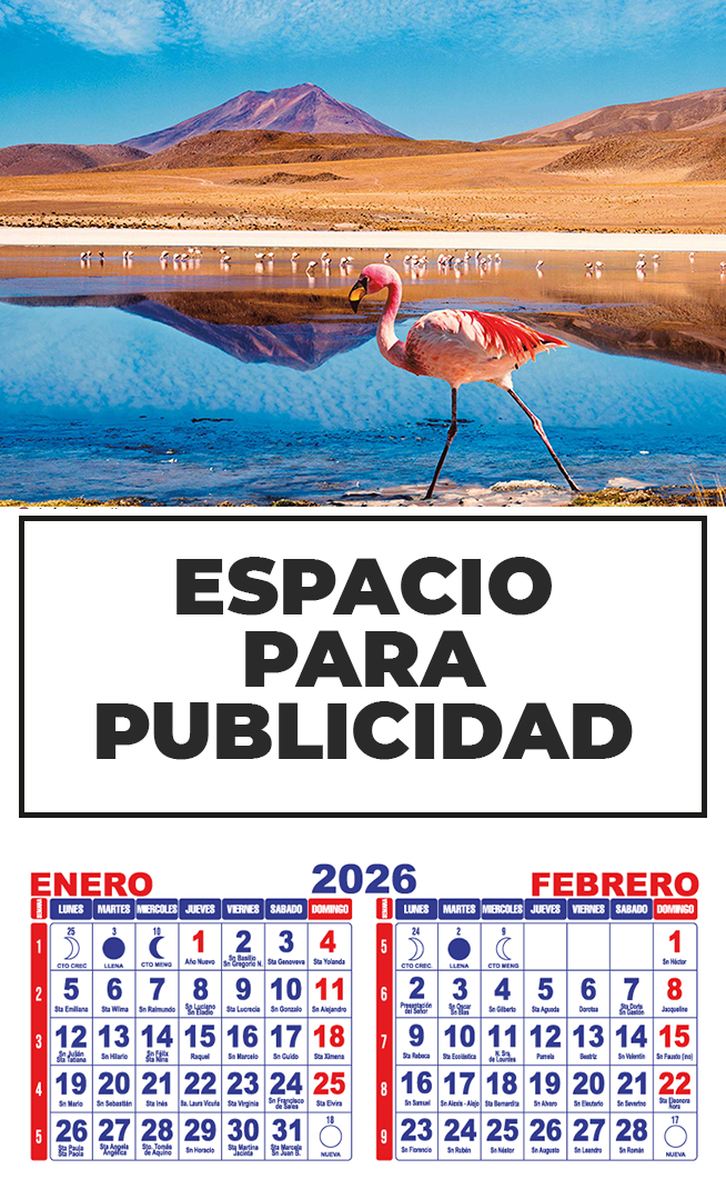 lamina-con-bimensual2026