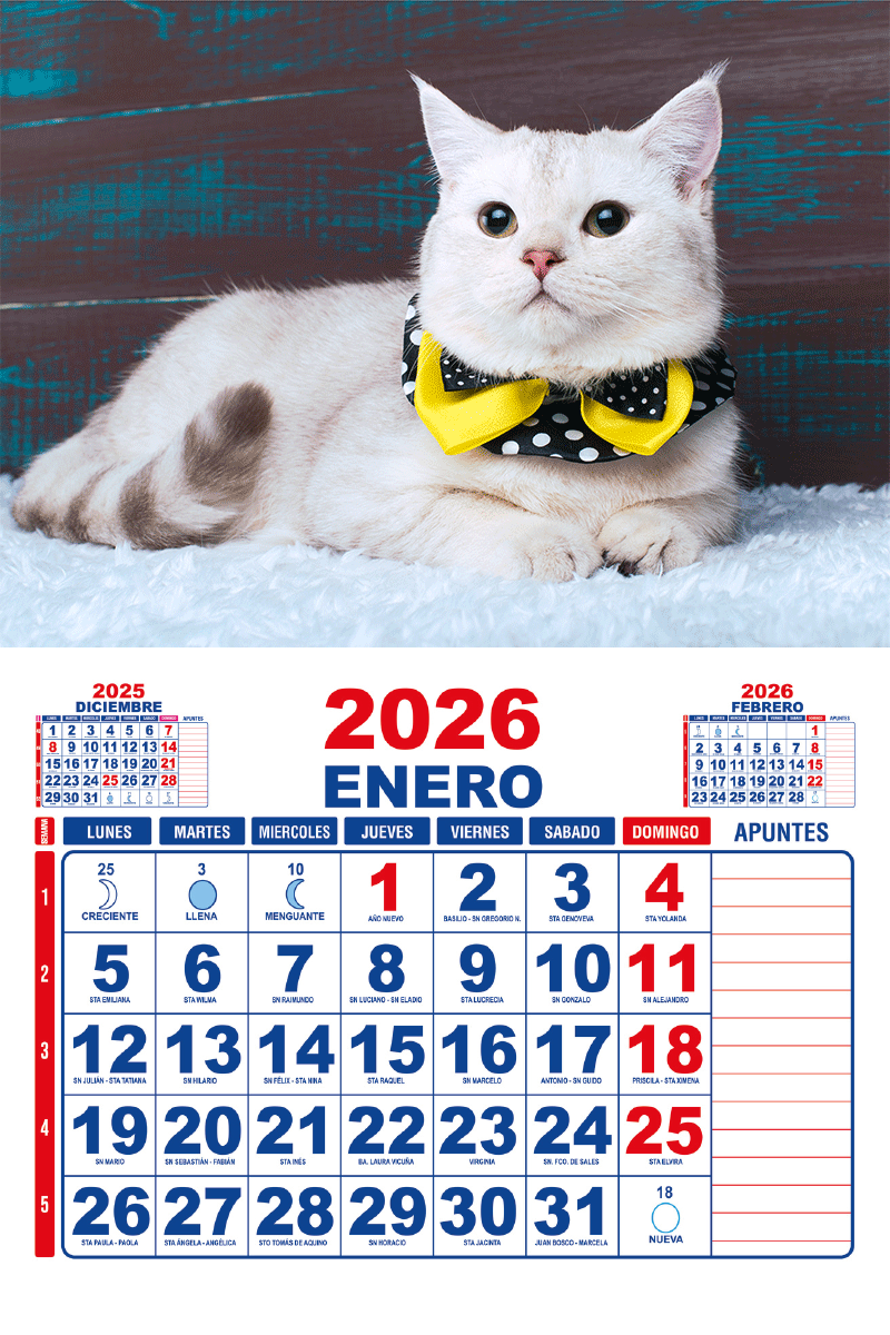 muestra-2026-a