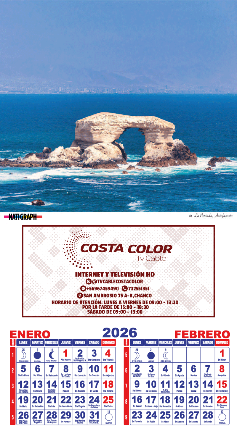 octavo-muestra-d-2026